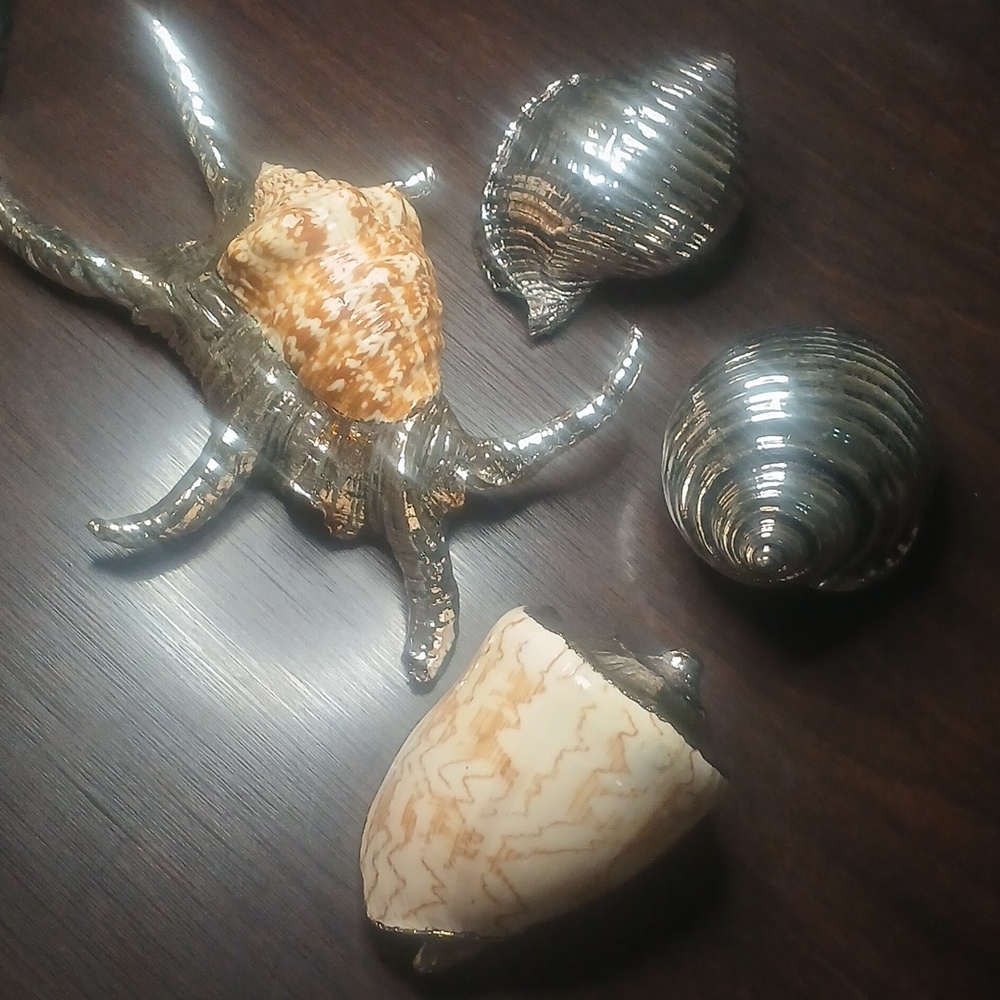 Two's Company Silver Metallic Shell and Starfish Accent Set